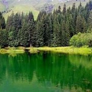 Meet your Posher, Cameron